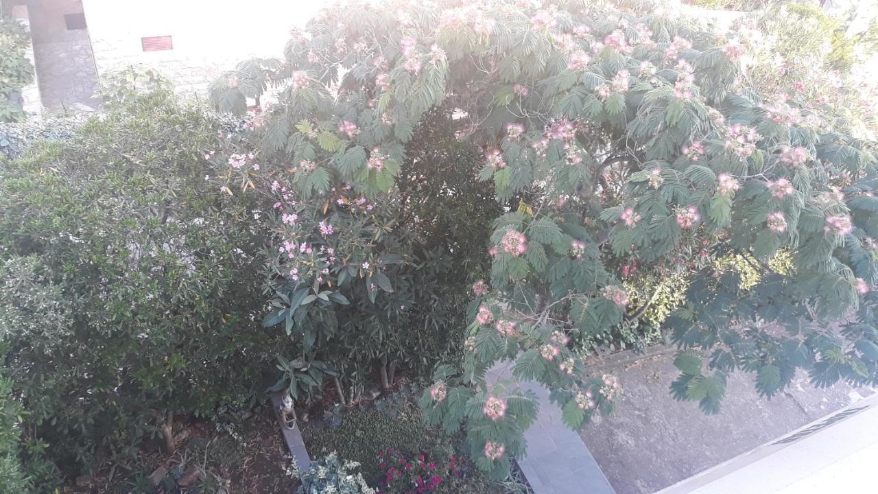 סטארי גראד Apartments Suljic - Cash Only Property מראה חיצוני תמונה