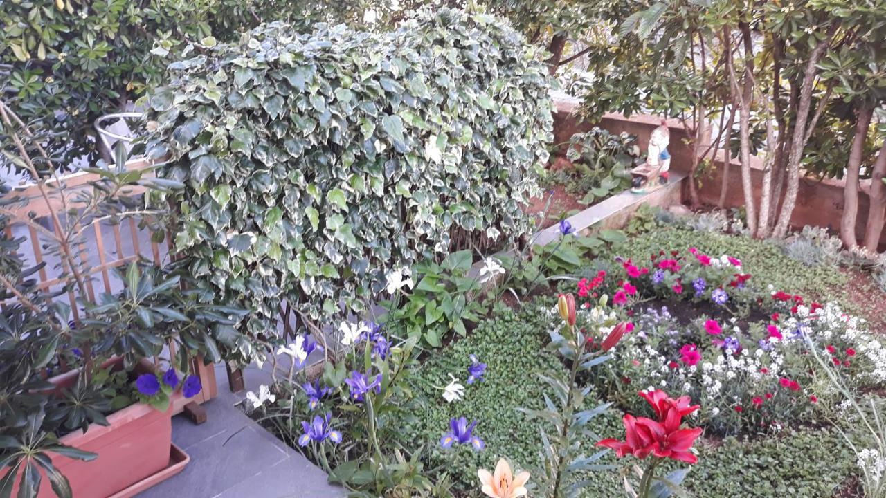 סטארי גראד Apartments Suljic - Cash Only Property מראה חיצוני תמונה