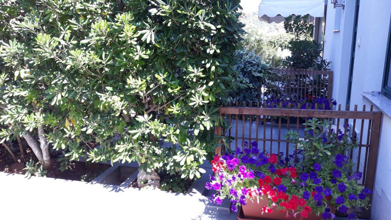 סטארי גראד Apartments Suljic - Cash Only Property מראה חיצוני תמונה